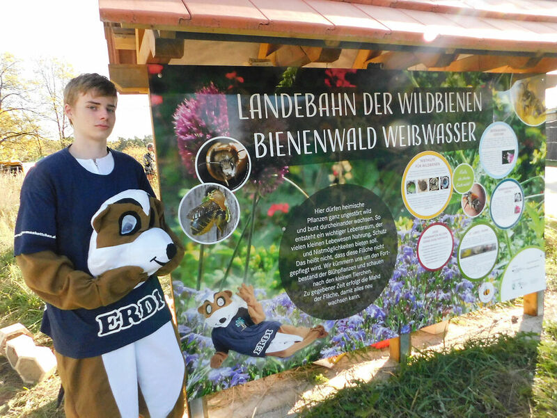 Großes Fest am Bienenwald