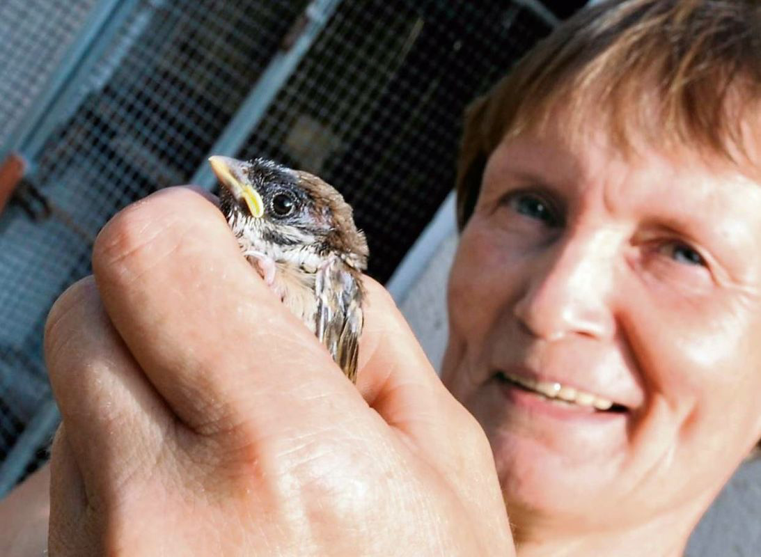 Mehr Findelkinder im Tierpark Weißwasser