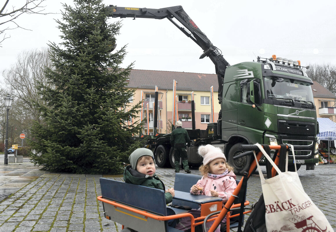 Weisswas24 Nachrichtenportal für Weißwasser und Umland Tannenbaum