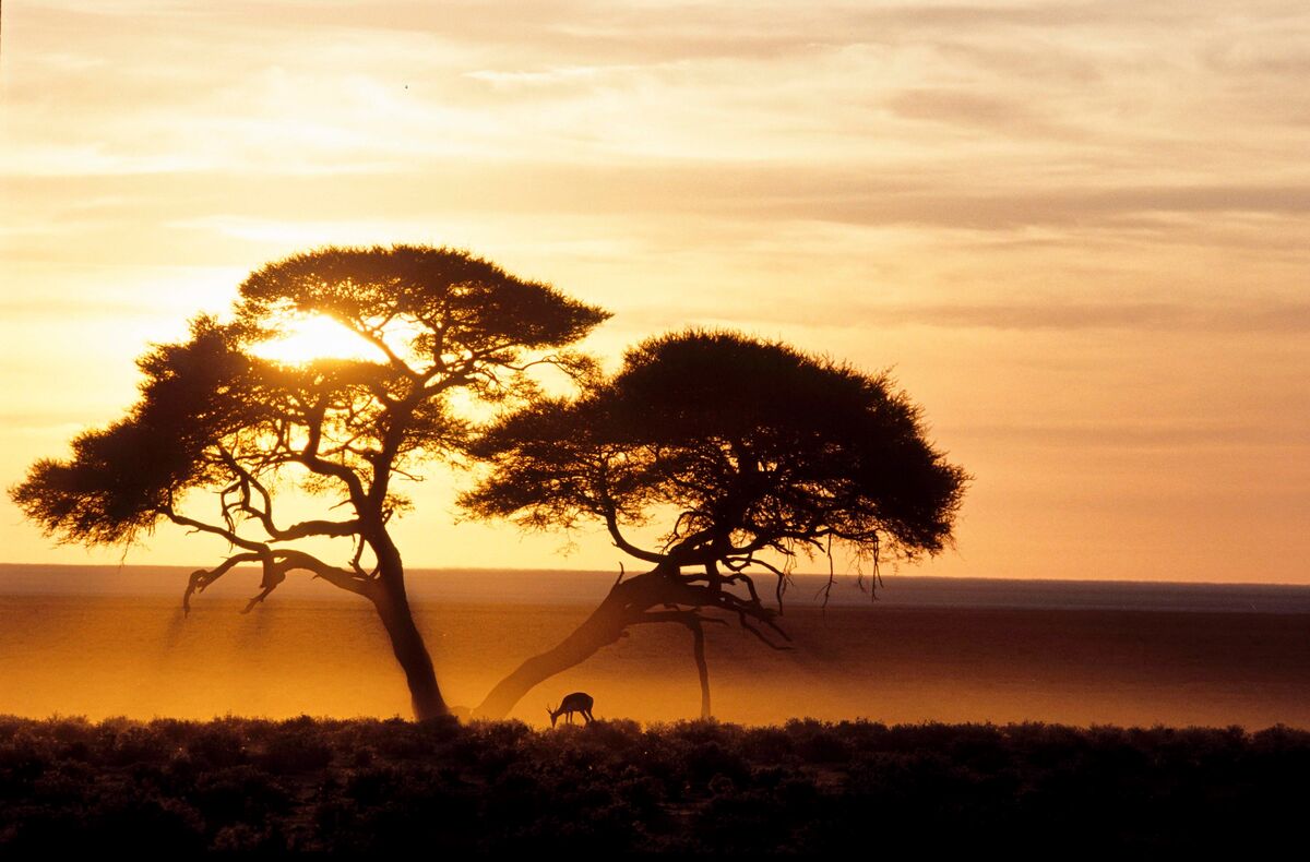 Namibia auf dem Gabentisch?