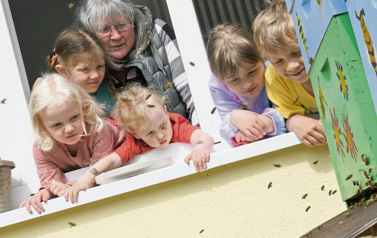 Wenn die Bienen schwärmen